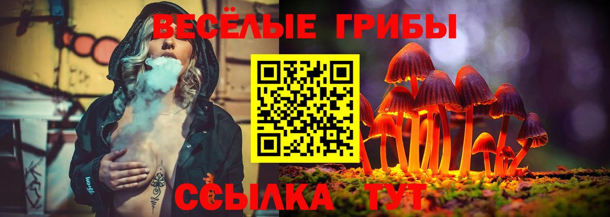 Псилоцибиновые грибы Cubensis Алатырь
