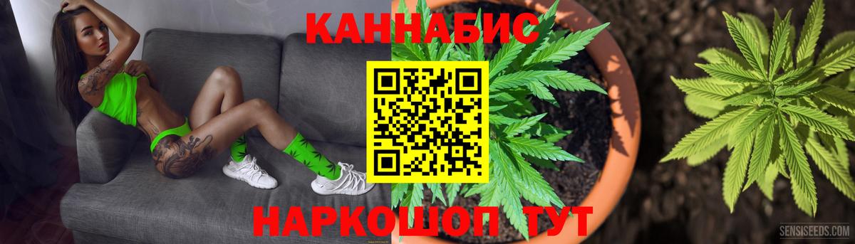 Канабис сатива  Канабис VHQ  Вход с VPN  Алатырь  Конопля White Widow 